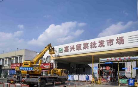 進(jìn)無(wú)止境，“嘉農?蔬菜人”